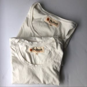 2 Scoop Neck T Shirts by California Surf Brand, Mollusk. Size Large.